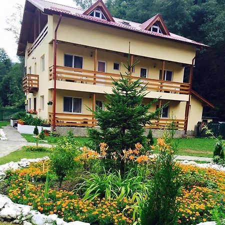 Готель Pensiunea La Padure Cheia, Prahova Maneciu Екстер'єр фото