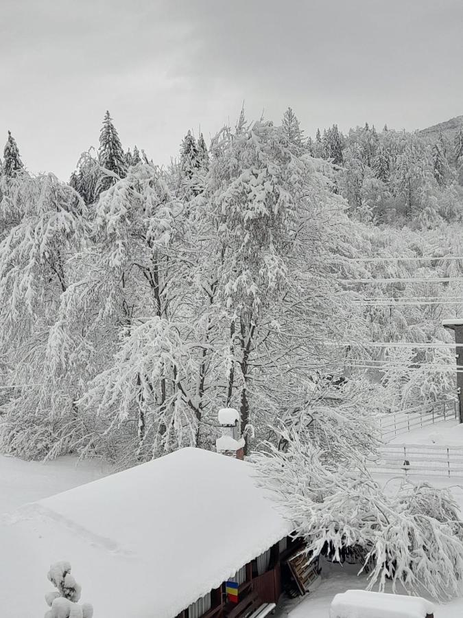 Готель Pensiunea La Padure Cheia, Prahova Maneciu Екстер'єр фото