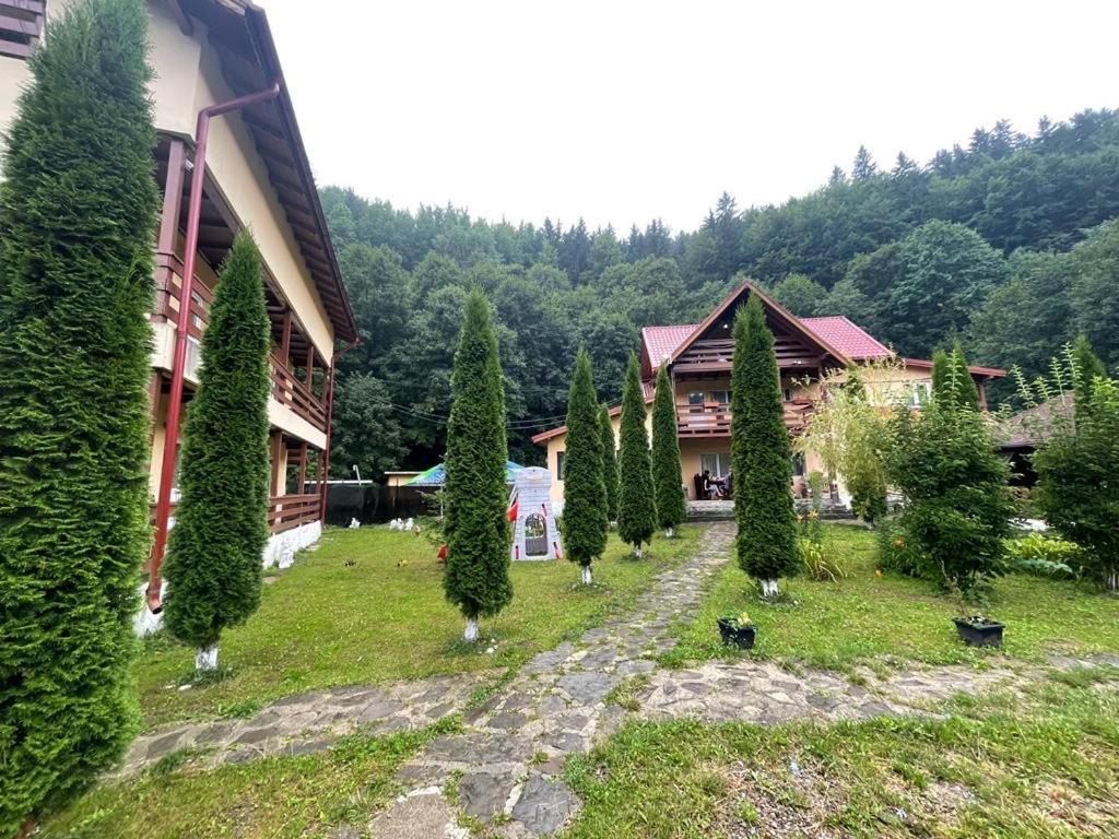 Готель Pensiunea La Padure Cheia, Prahova Maneciu Екстер'єр фото