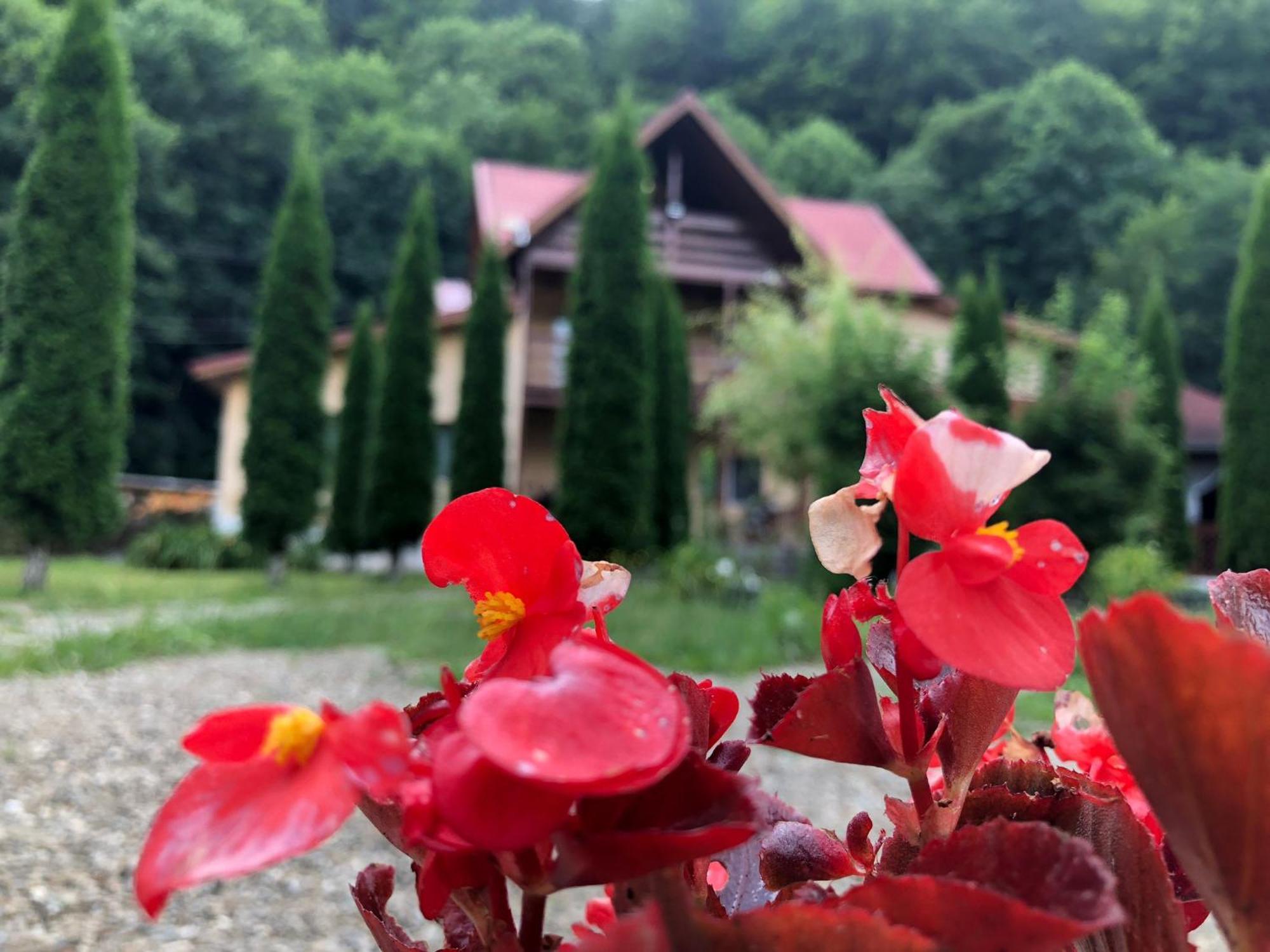 Готель Pensiunea La Padure Cheia, Prahova Maneciu Екстер'єр фото