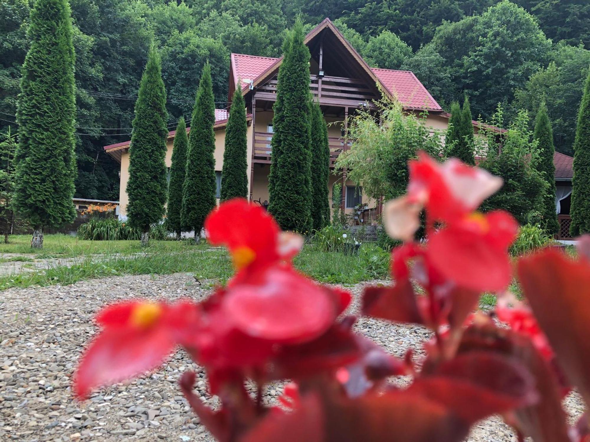 Готель Pensiunea La Padure Cheia, Prahova Maneciu Екстер'єр фото